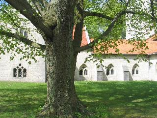 imm_4379_m.jpg