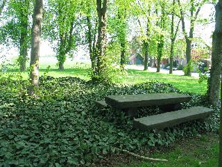 imm_4394_m.jpg