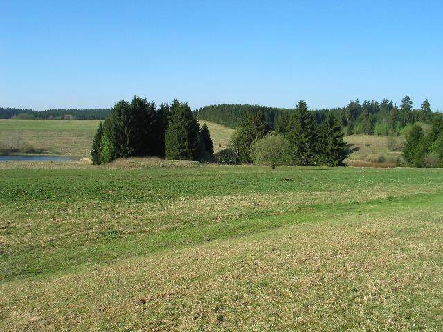 imm_4426_g.jpg