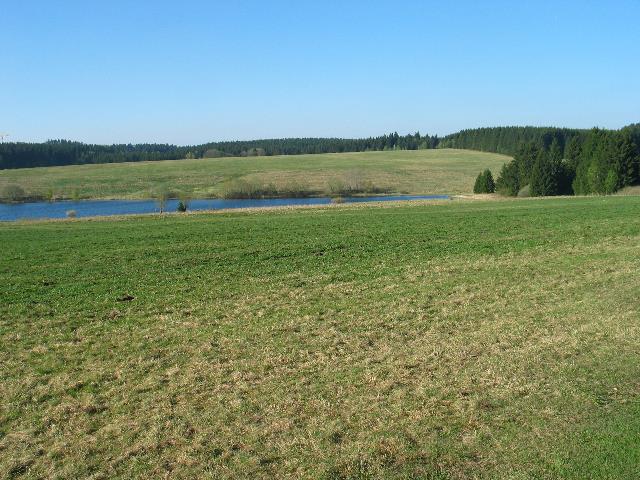imm_4428_g.jpg