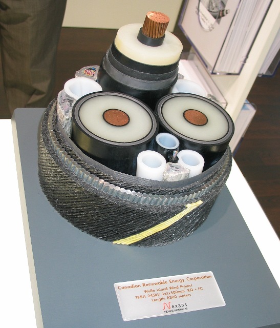 imm_4448_g.jpg