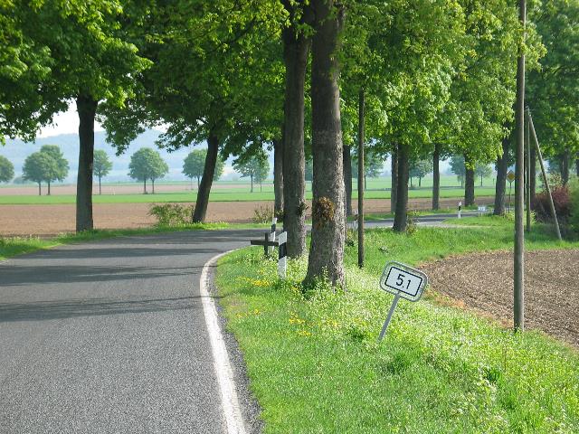 imm_4499_g.jpg