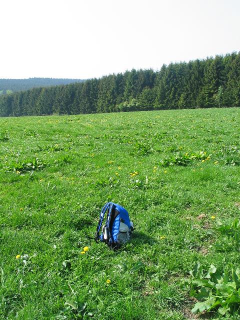 imm_4587_g.jpg
