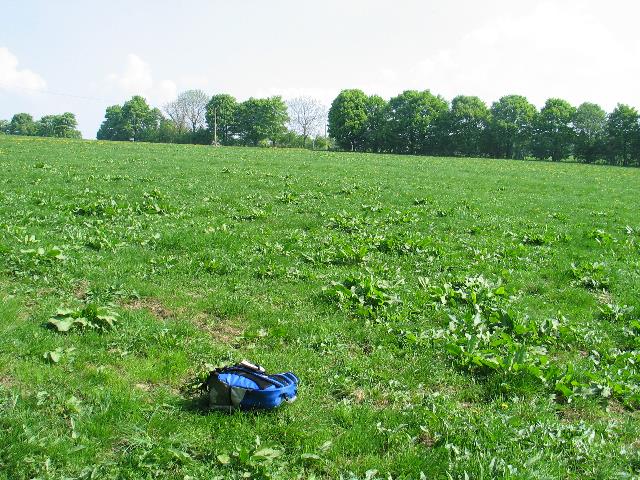 imm_4591_g.jpg