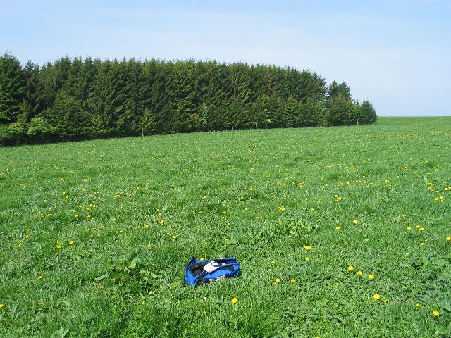 imm_4592_g.jpg
