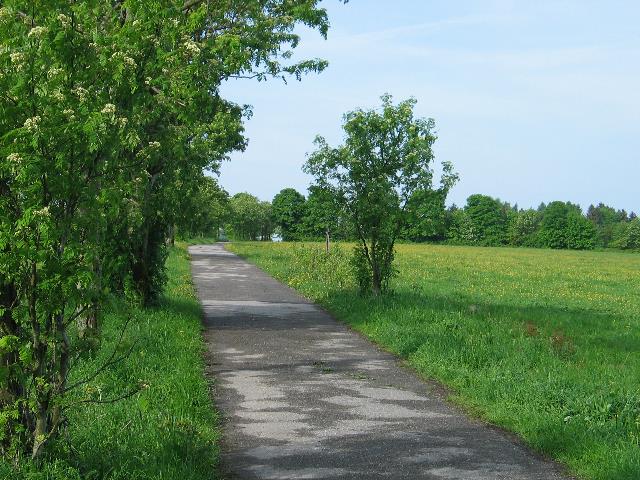 imm_5010_g.jpg