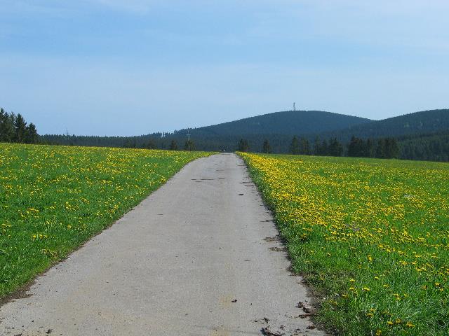 imm_5019_g.jpg