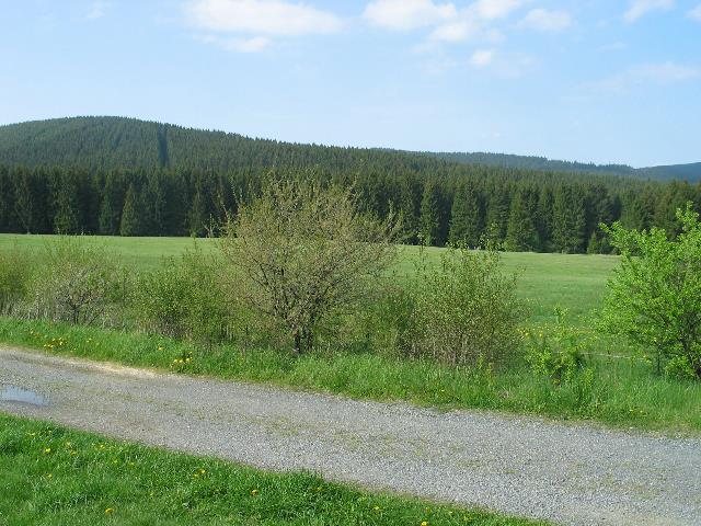 imm_5025_g.jpg