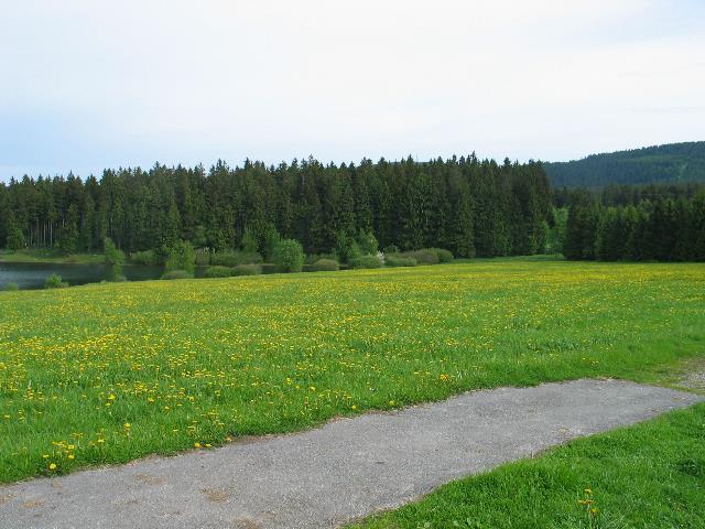 imm_5221_g.jpg