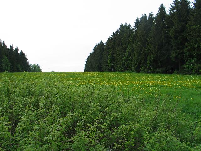 imm_5222_g.jpg