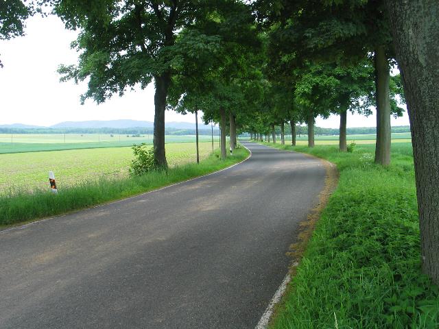 imm_5360_g.jpg