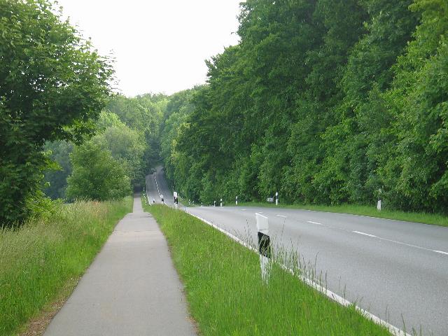 imm_5365_g.jpg