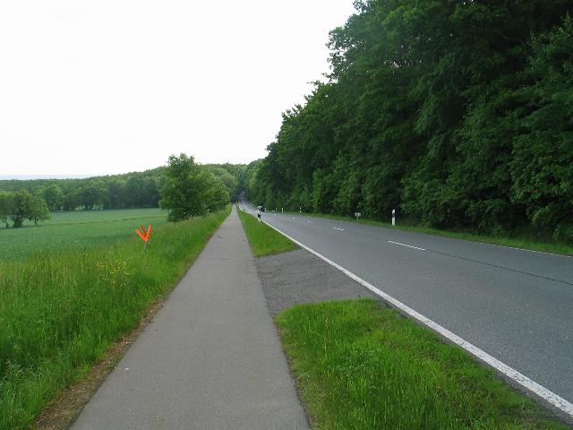 imm_5366_g.jpg