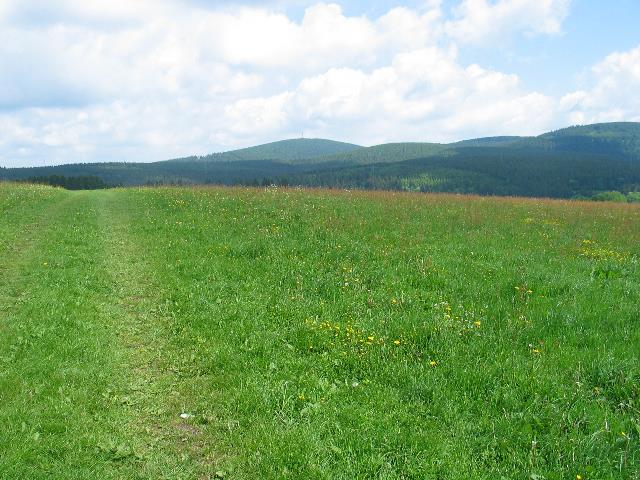 imm_5389_g.jpg
