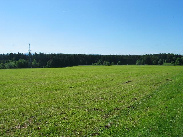 imm_5392_g.jpg