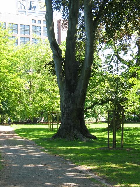 imm_5420_g.jpg