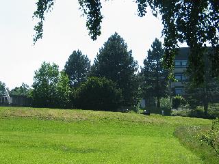 imm_5613_m.jpg