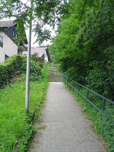 imm_5731_g.jpg