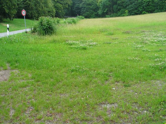 imm_5839_g.jpg