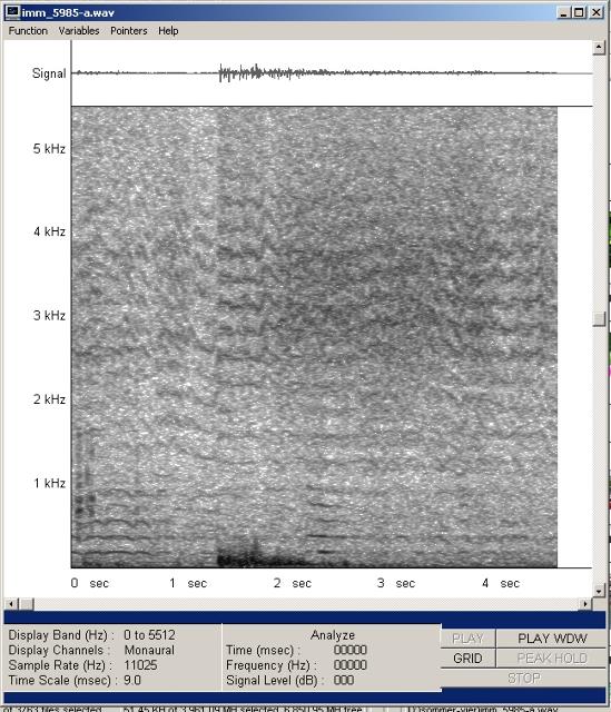 imm_5985-a-wav-001_g.jpg