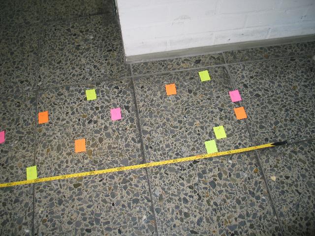 imm_6032_g.jpg