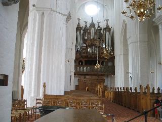 imm_6069_m.jpg