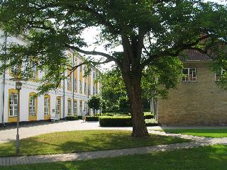 imm_6099_m.jpg