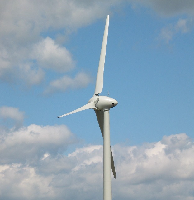 imm_6232_g.jpg