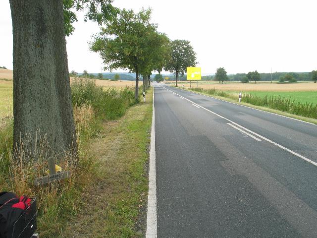 imm_6366_g.jpg