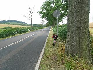 imm_6367_m.jpg
