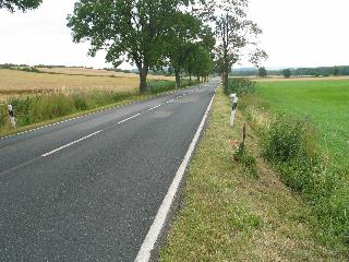 imm_6368_m.jpg