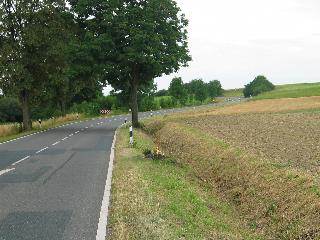 imm_6371_m.jpg