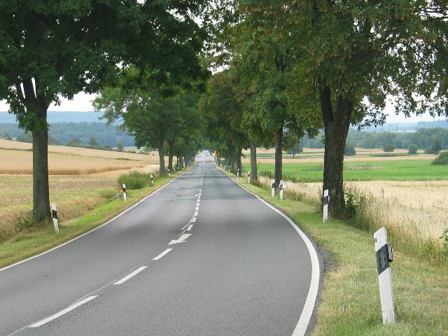 imm_6372_g.jpg