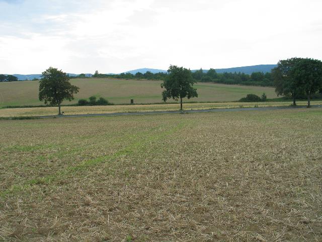 imm_6373_g.jpg