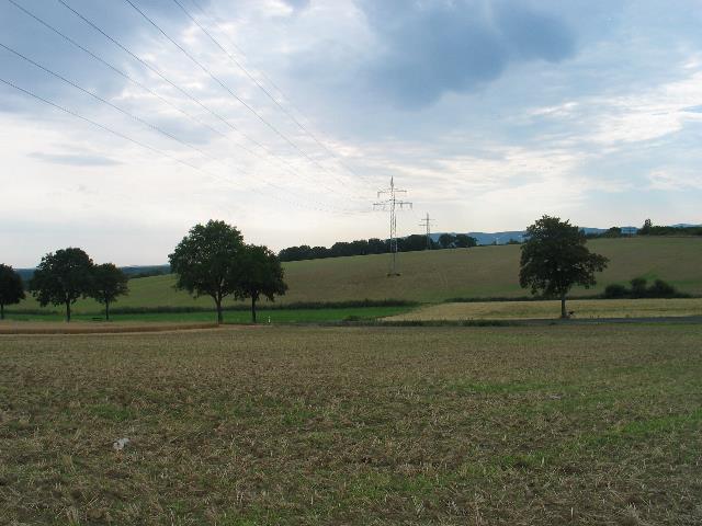 imm_6374_g.jpg