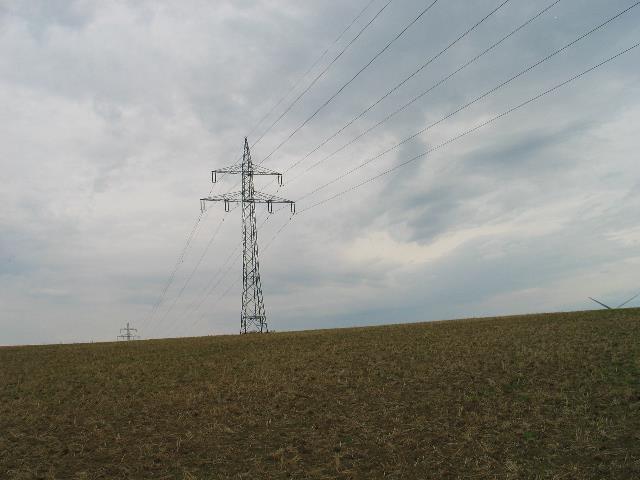 imm_6375_g.jpg