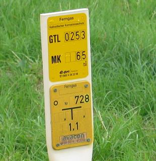 imm_6377-a_m.jpg