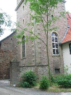 imm_6380_m.jpg