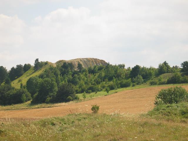 imm_6435_g.jpg