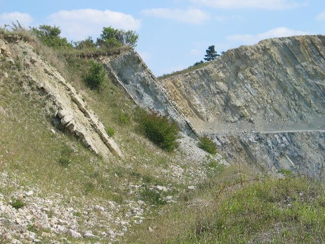 imm_6440_g.jpg