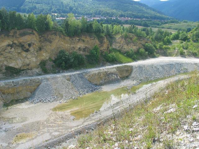 imm_6443_g.jpg