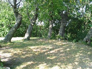 imm_6469_m.jpg