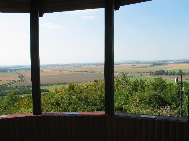 imm_6472_g.jpg