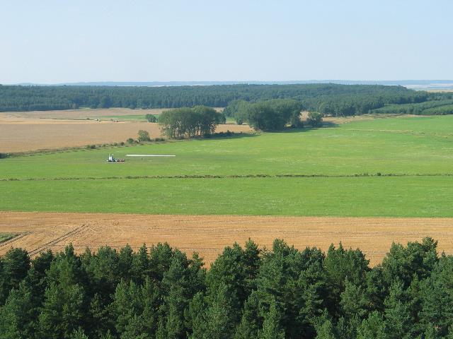 imm_6476_g.jpg