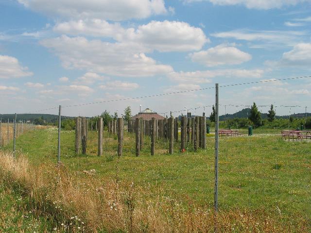 imm_6504_g.jpg