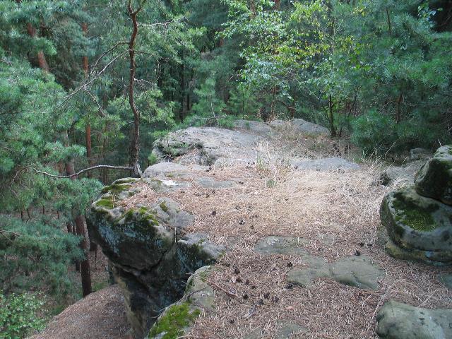 imm_6518_g.jpg
