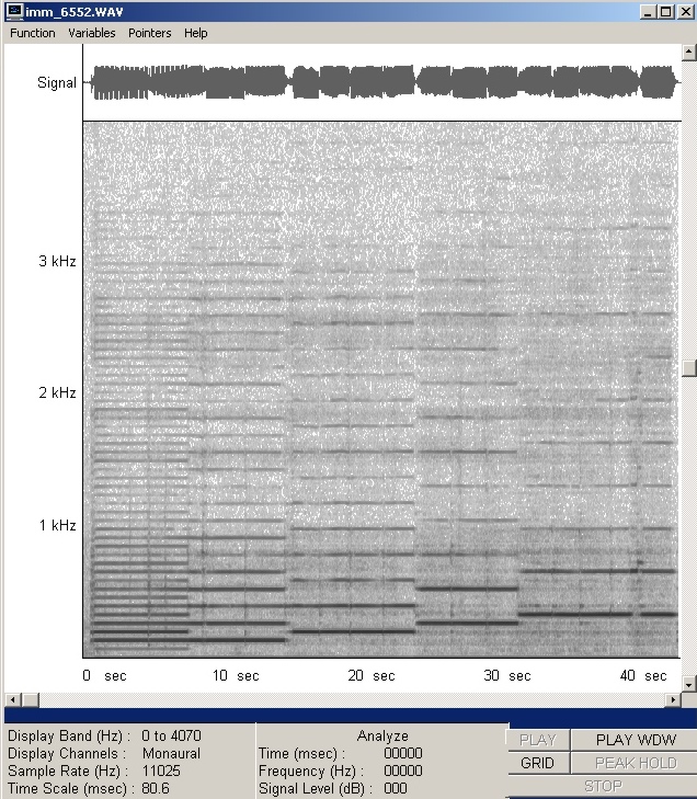 imm_6552-wav-001.jpg