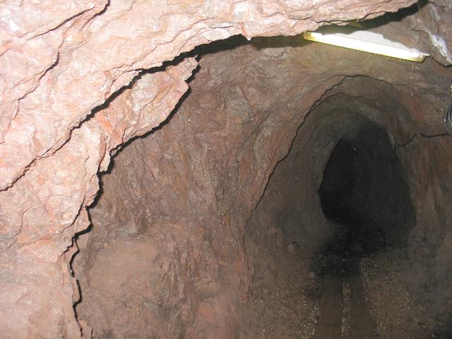 imm_6557_g.jpg