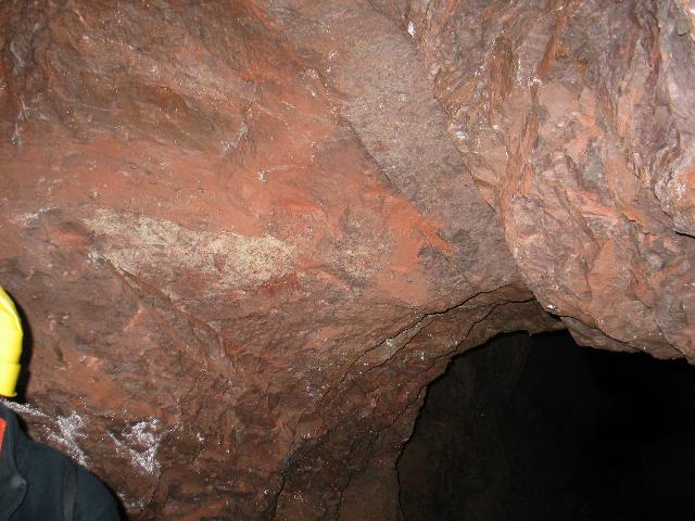 imm_6558_g.jpg