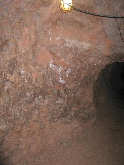 imm_6560_g.jpg